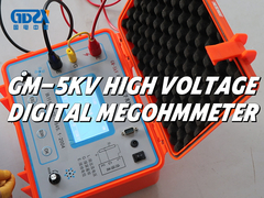 Megohmmetro digitale ad alta tensione GM-5kV