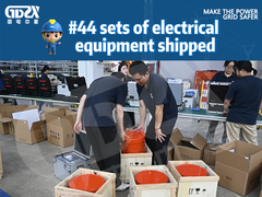 GDZX spedizione giornaliera