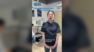 ZXSP-8890 Cromatografo a olio per trasformatore portatile