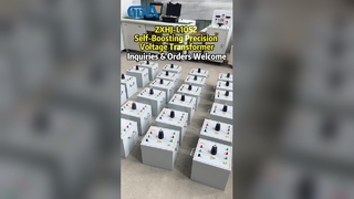 ZXHJ-L10S2 Trasduttore di tensione di precisione autoamplificato