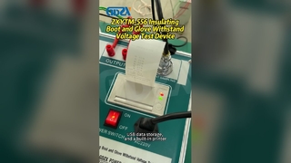 Dispositivo per test di tensione di resistenza a guanti e stivali isolanti ZXYTM-556
